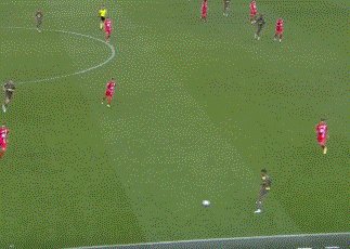 动画 (4383).gif